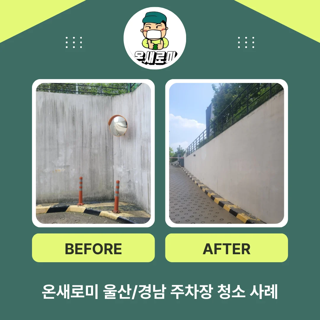 온새로미 청소 사례 (3)